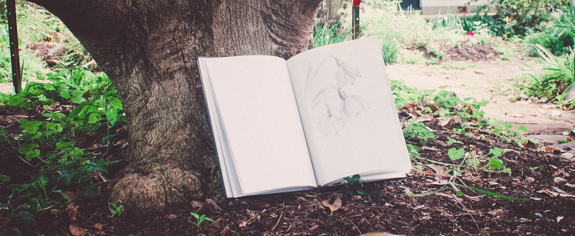 Teen studio: Drawing in the garden