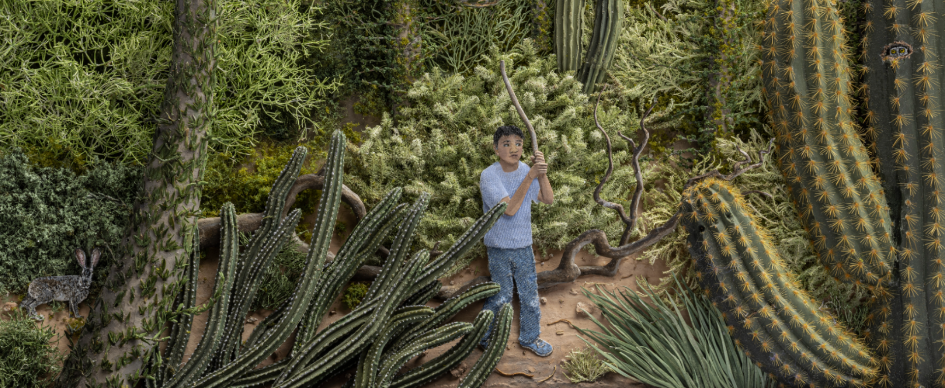 Jeannie Baker: Desert Jungle