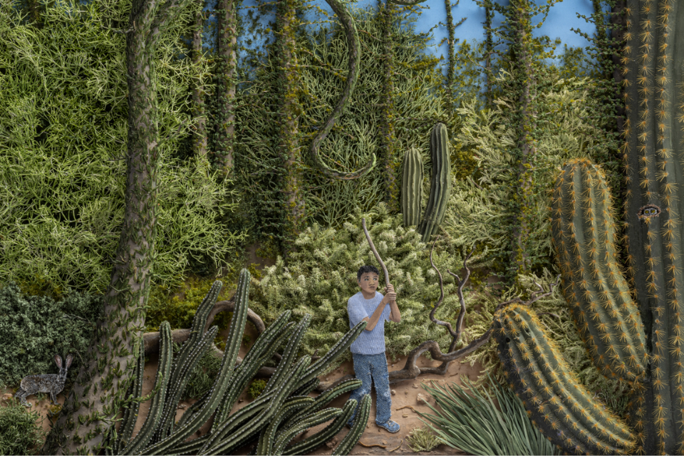 Jeannie Baker: Desert Jungle