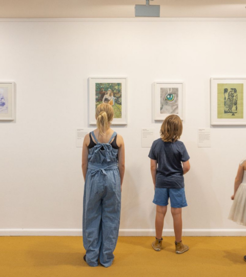 Penrith Regional Gallery Youth Art Prize