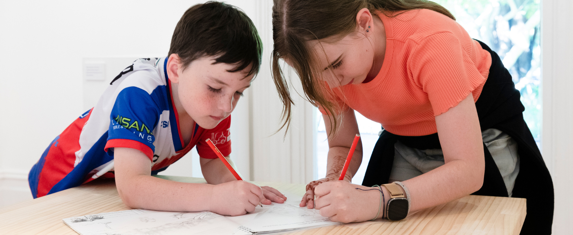 Artist Books <br/> for Ages 9-12