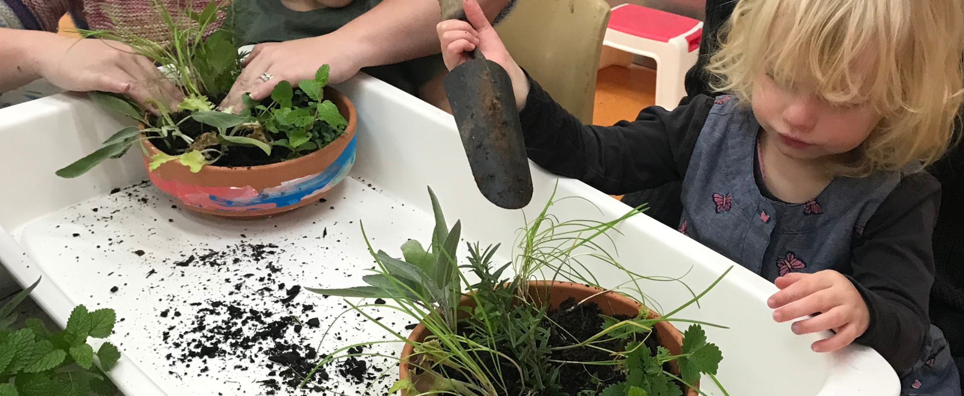 Mini Garden<br/> for Ages 5-8