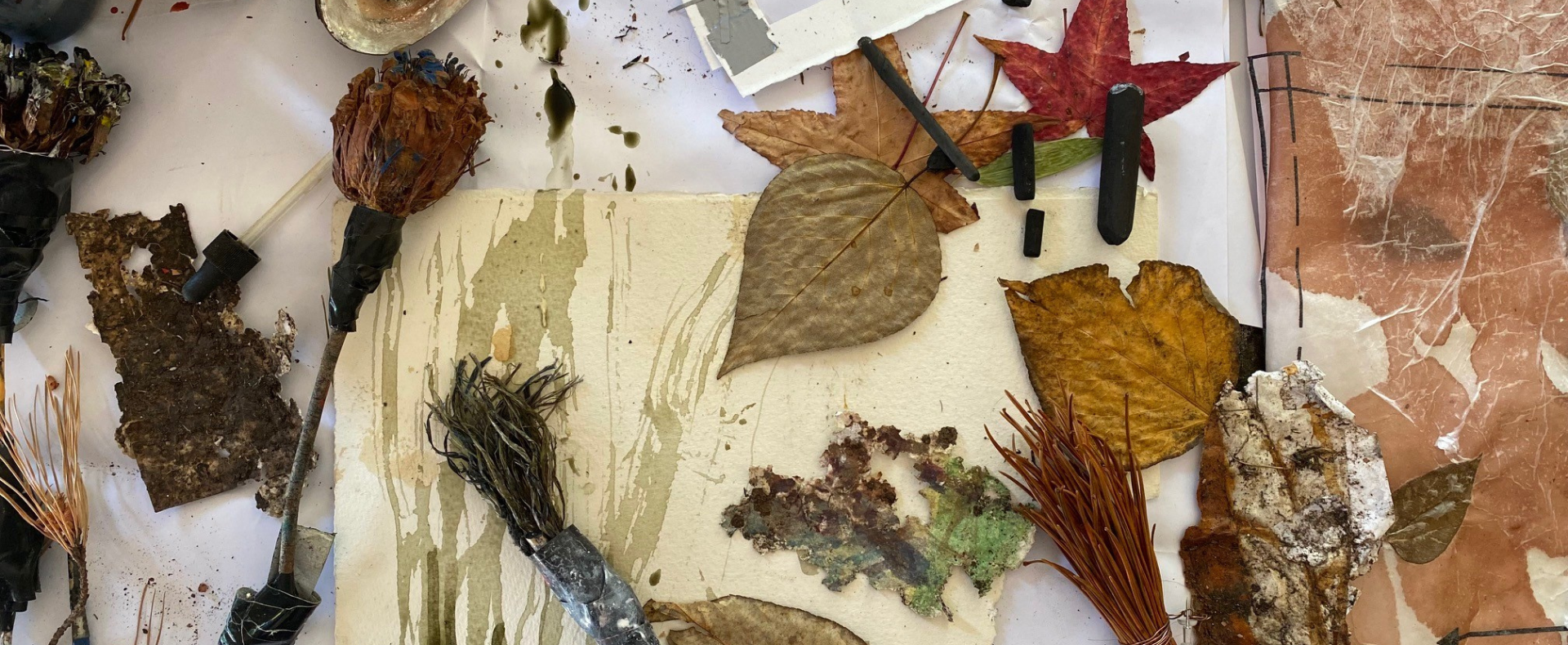 Drawing with Nature