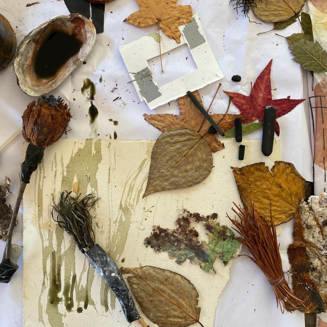 Drawing with Nature