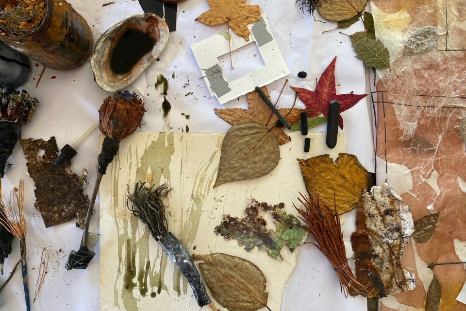 Drawing with Nature