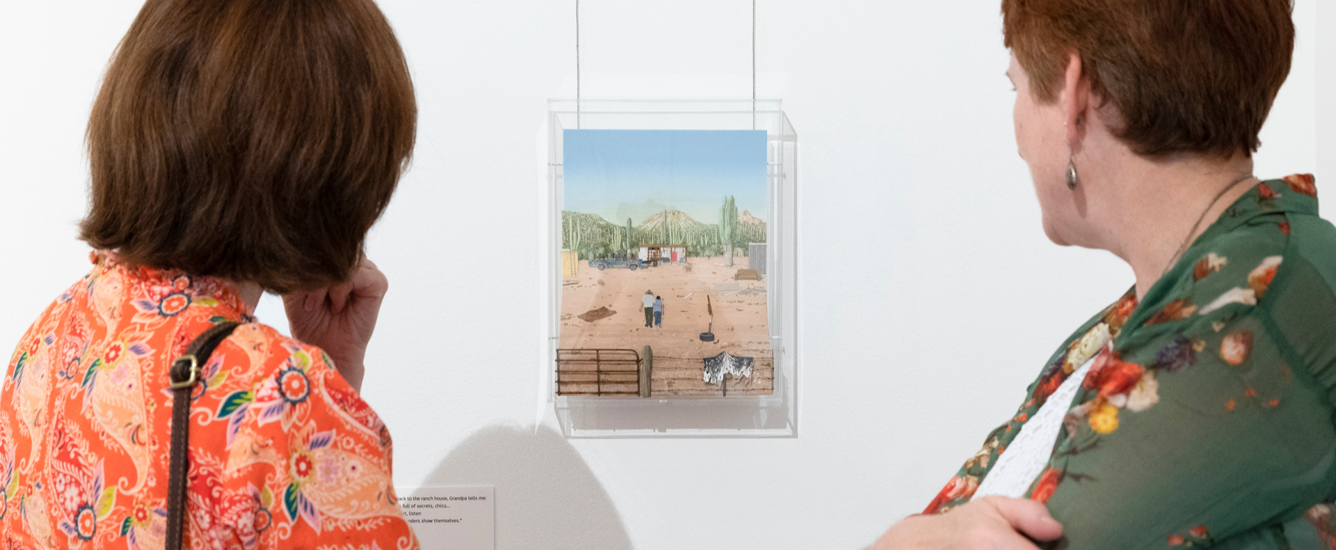 Jeannie Baker: <br> Desert Jungle