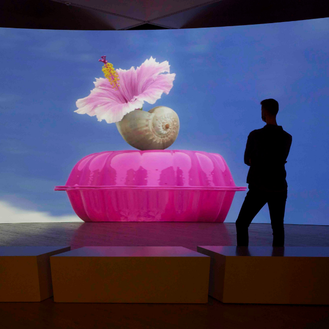 Hibiscus: Angela Tiatia & Philip Juster
