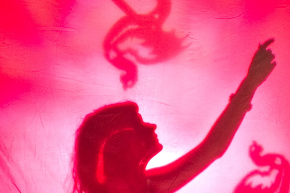 Shadow Puppet Workshop