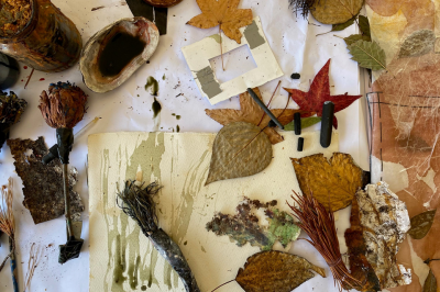 Drawing with Nature