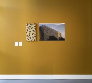 Gallery Image 14