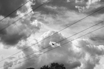 Untitled (42)