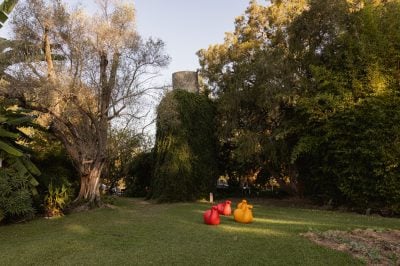 Gallery Image 15