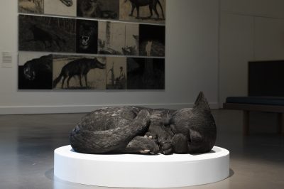 Gallery Image 7