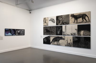 Gallery Image 11