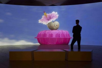Hibiscus: Angela Tiatia & Philip Juster