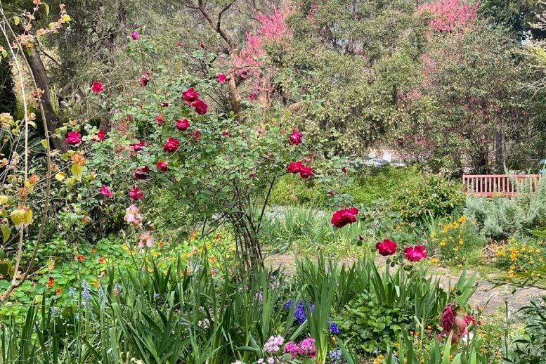 Highlight Image for Outside Garden Filming & Photography