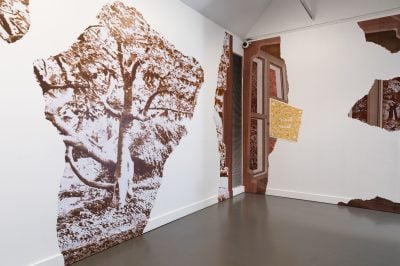 Gallery Image 23