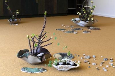 Gallery Image 7