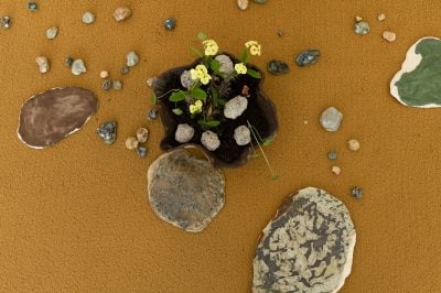 Gallery Image 13