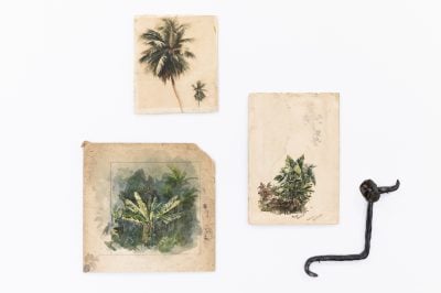 Gallery Image 14