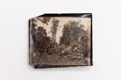 Gallery Image 16