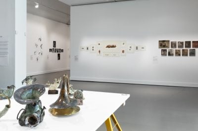 Gallery Image 20