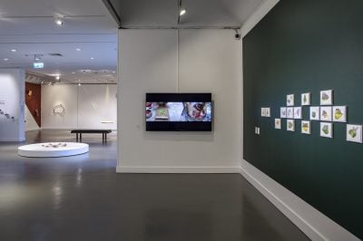 Gallery Image 20