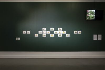 Gallery Image 21