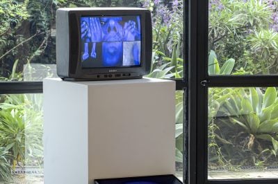 Gallery Image 1
