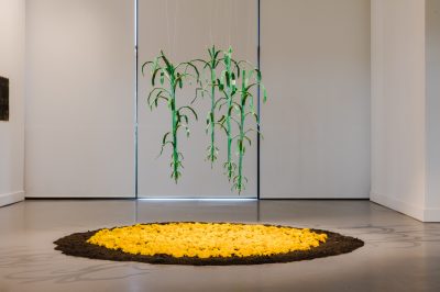 Gallery Image 11