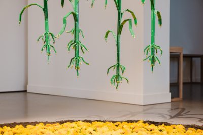 Gallery Image 10