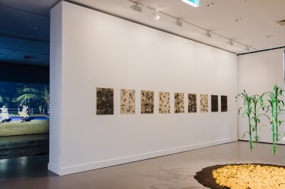 Gallery Image 20