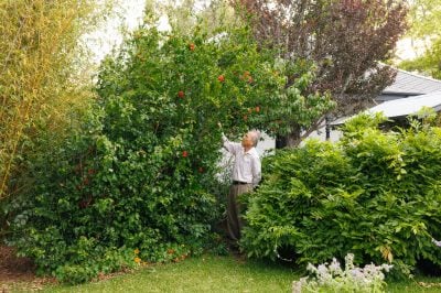 Galleries Open Early