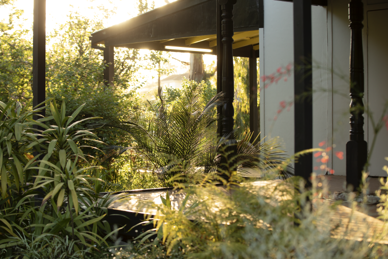 Highlight Image for Outside Garden Filming & Photography