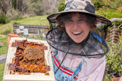 Pollinator Detectives: Nature Art in the Garden 9-12yrs